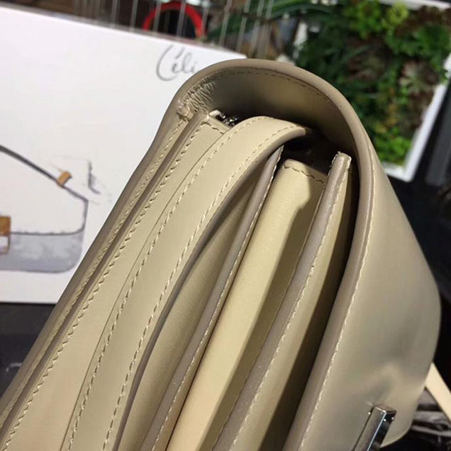 Celine Medium Classic Box Bag In Beige