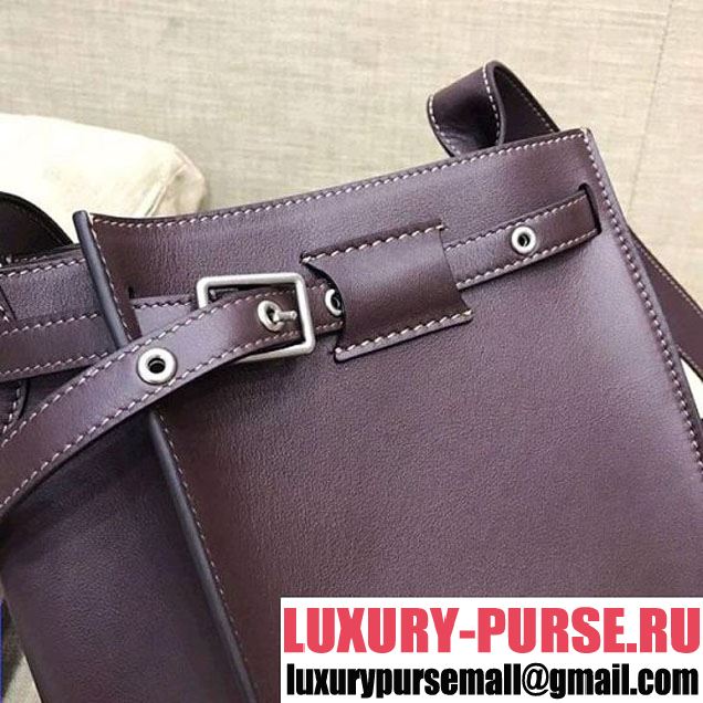 Celine Big Bag Bucket Bag With Long Strap in Smooth Calfskin Dark Burgundy 2018 (1A021-7120611 )