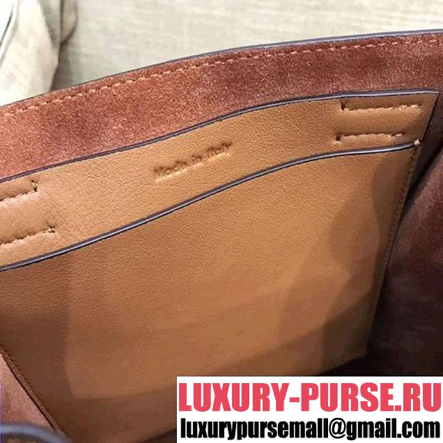 Celine Big Bag Bucket Bag With Long Strap in Smooth Calfskin Brown 2018 (1A021-7120613 )