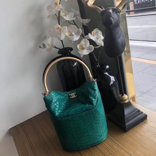Chanel Chevron Python Handle with Chic Bucket Bag A57861 Green 2018 Collection