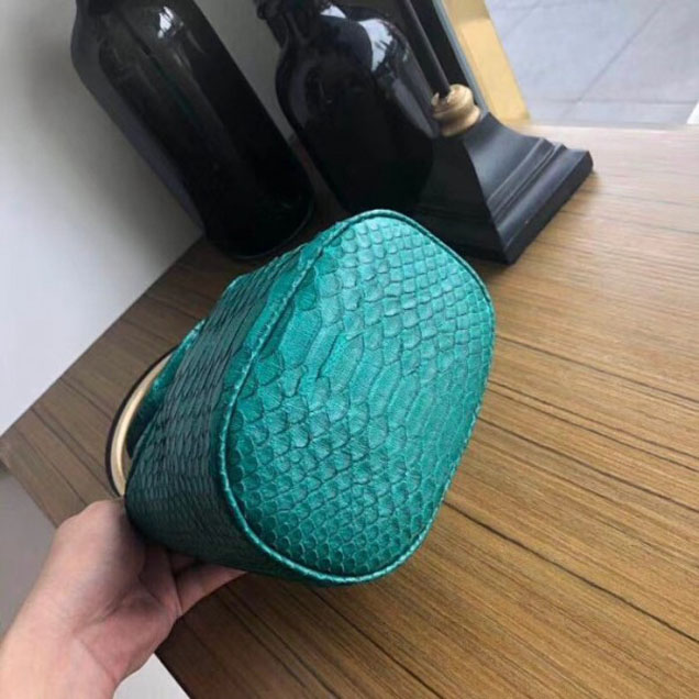 Chanel Chevron Python Handle with Chic Bucket Bag A57861 Green 2018 Collection