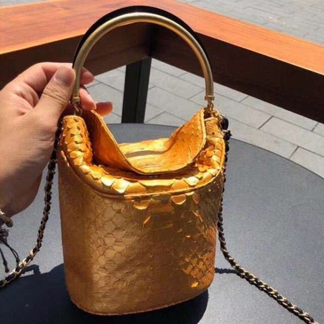 Chanel Chevron Python Handle with Chic Bucket Bag A57861 Gold 2018 Collection