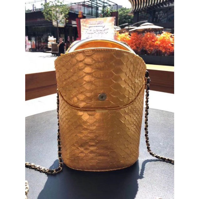 Chanel Chevron Python Handle with Chic Bucket Bag A57861 Gold 2018 Collection