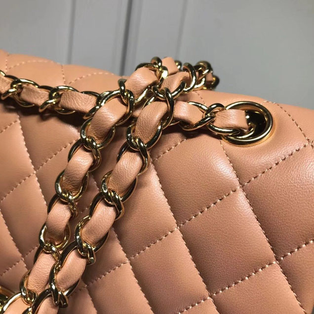 Chanel Classic Double Flap Bag Gold Hardware Lambskin Leather Spring Summer Act 2 2018 Collection Beige