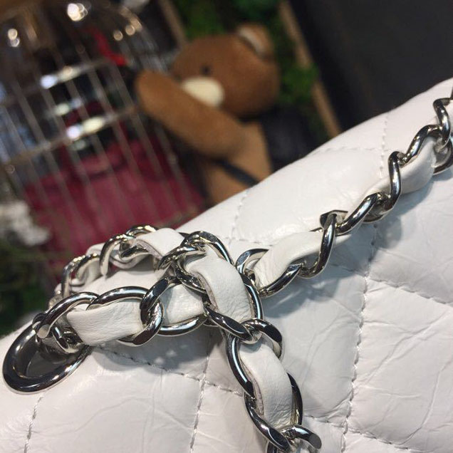 Chanel Crumpled Calfskin PVC Aquarium Backpack Bag 22cm Silver Hardware Lambskin Leather Spring Summer Collection White
