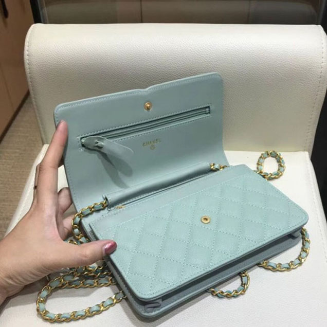 Chanel CC Filigree Grained Calfskin Wallet On Chain WOC Bag A84451 Light Green 2018