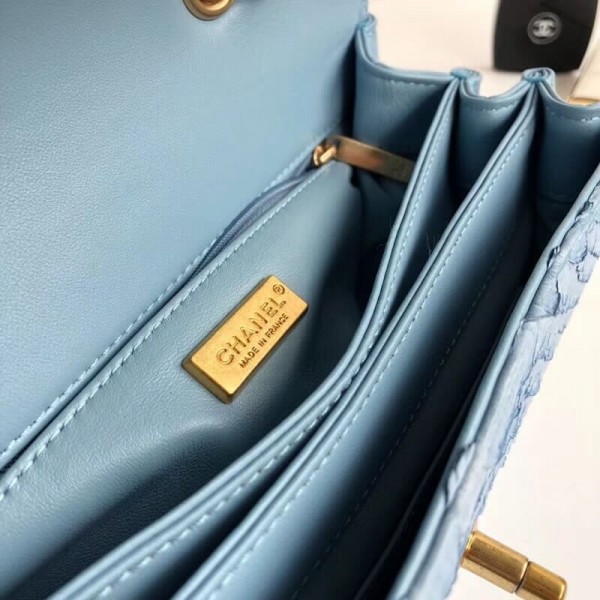 Chanel Python Leather Daily Companion Medium Flap Bag Light Blue 2018 Collection