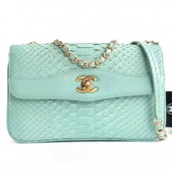 Chanel Python Leather Daily Companion Medium Flap Bag Jade 2018 Collection