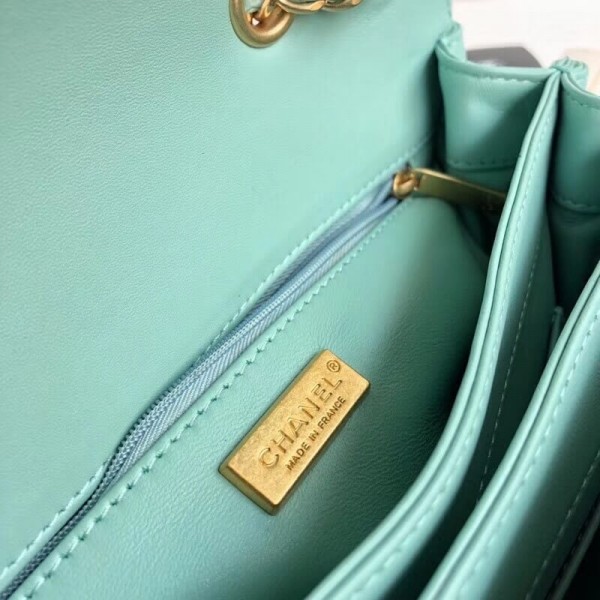 Chanel Python Leather Daily Companion Medium Flap Bag Jade 2018 Collection