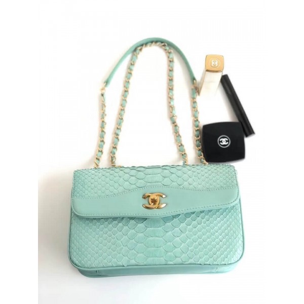 Chanel Python Leather Daily Companion Medium Flap Bag Jade 2018 Collection