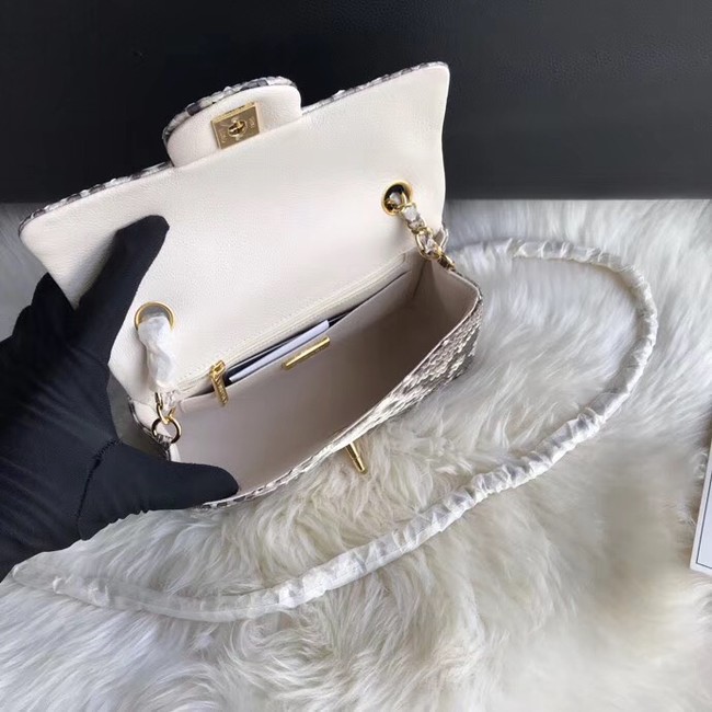 Chanel Mini Flap Bag Python & Gold-Tone Metal A69900 grey 