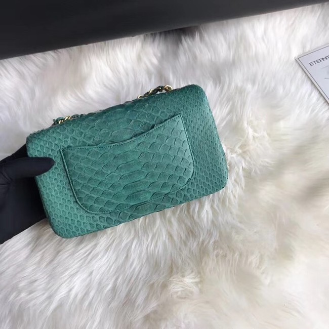 Chanel Mini Flap Bag Python & Gold-Tone Metal A69900 green 