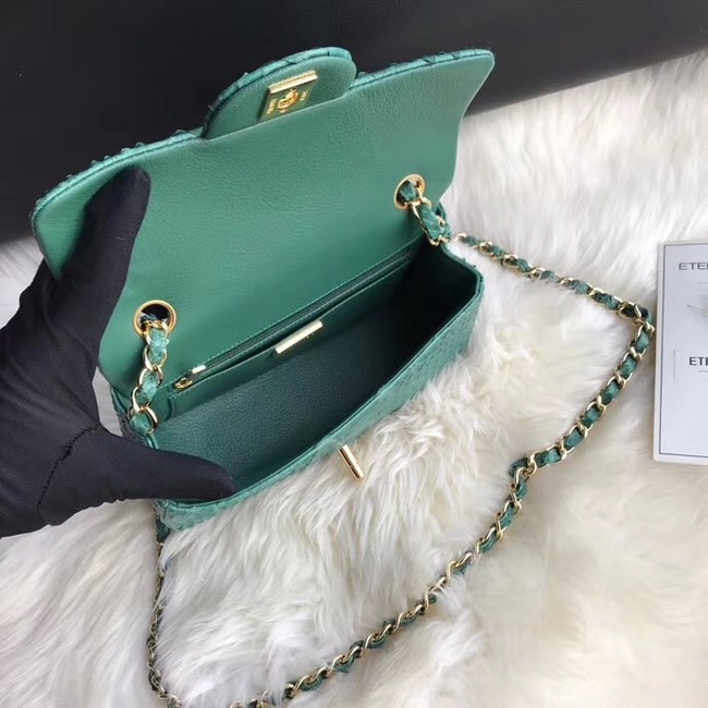 Chanel Mini Flap Bag Python & Gold-Tone Metal A69900 green 