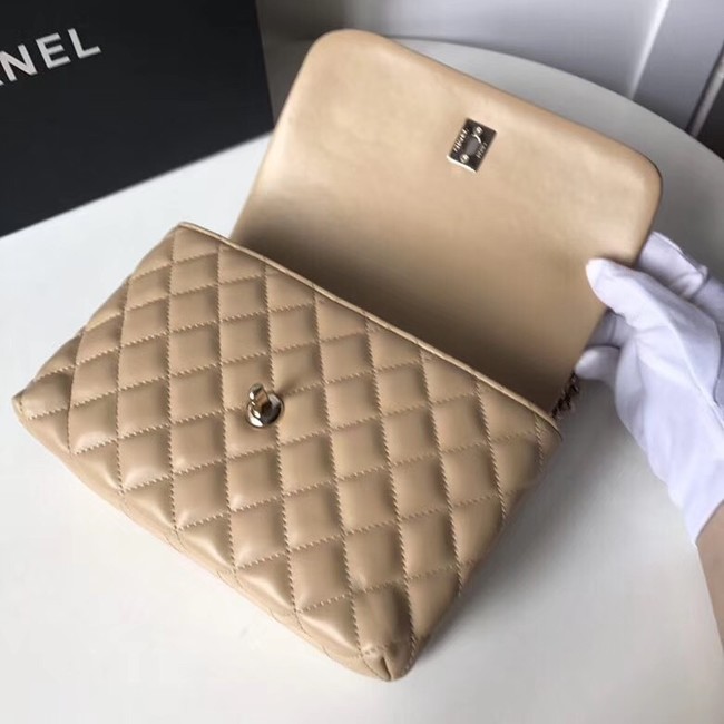 Chanel Flap Bag with Top Handle Gold-Tone Metal A57342 Beige 