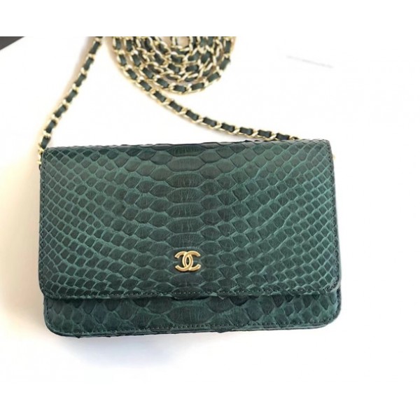 Chanel Python Leather Wallet On Chain WOC Flap Bag Green 2018