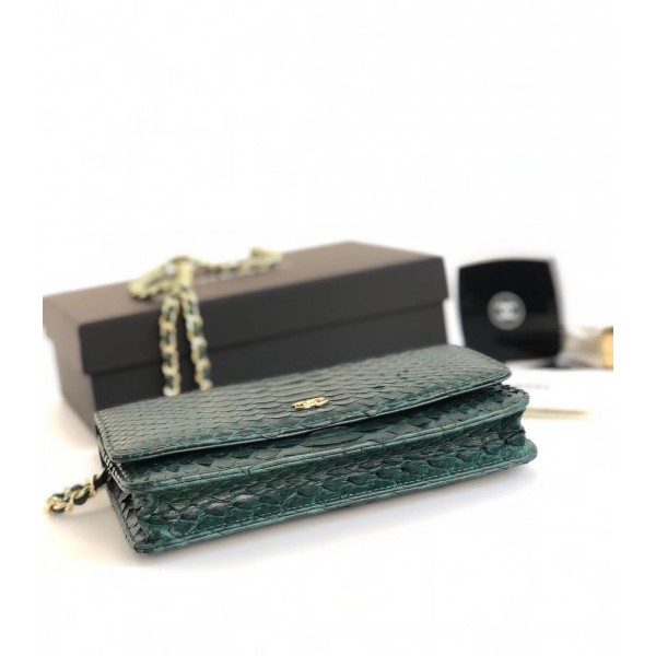 Chanel Python Leather Wallet On Chain WOC Flap Bag Green 2018