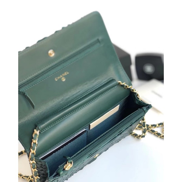 Chanel Python Leather Wallet On Chain WOC Flap Bag Green 2018