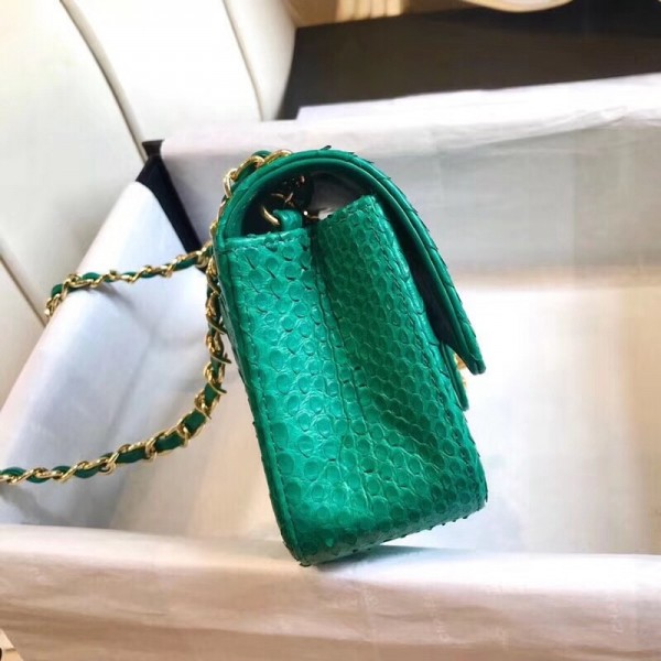 Chanel Python Classic Small Flap Bag Green 2018 Collection