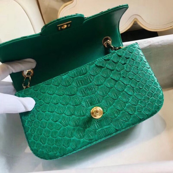 Chanel Python Classic Small Flap Bag Green 2018 Collection