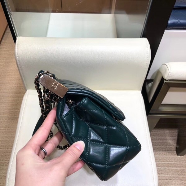 Chanel Lambskin/Python Flap Bag A57947 Green 2018