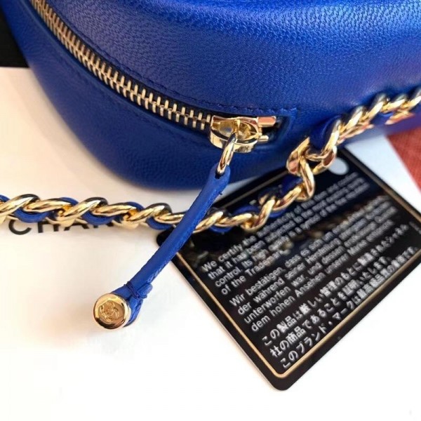 Chanel Casual Trip North/South Camera Case Bag AS0139 Blue 2019