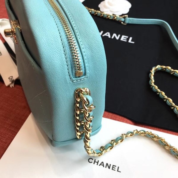 Chanel Casual Trip Medium Camera Case Bag AS0140 Light Green 2019