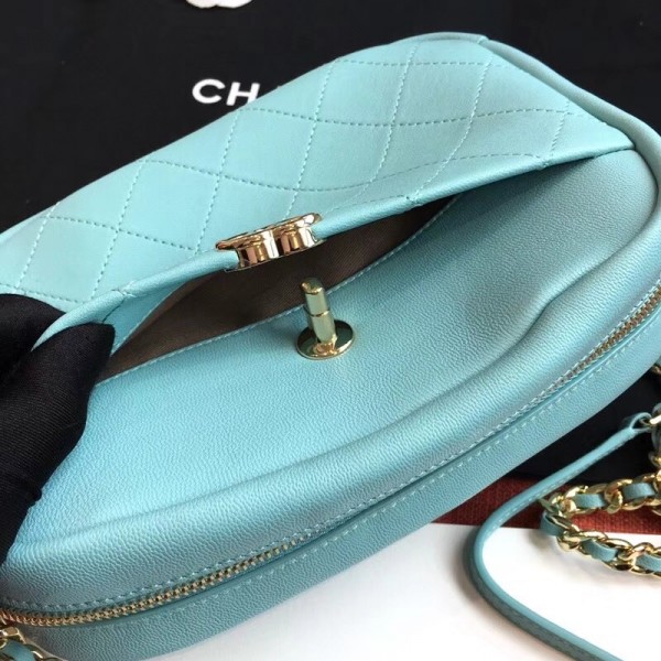 Chanel Casual Trip Medium Camera Case Bag AS0140 Light Green 2019