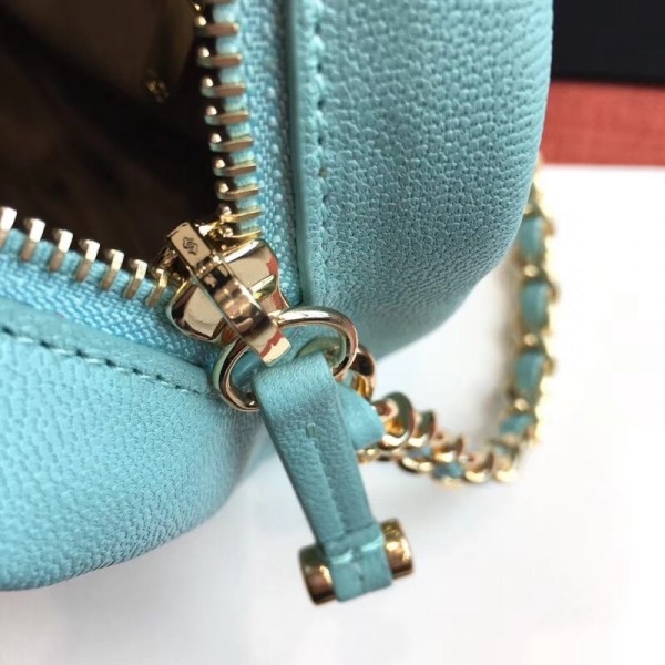 Chanel Casual Trip Medium Camera Case Bag AS0140 Light Green 2019