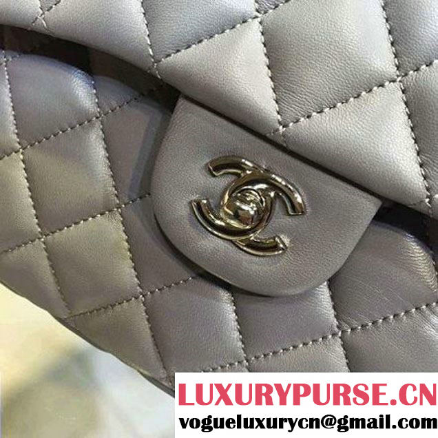 Chanel Large Grey Calfskin Backpack Cruise 2016 (2A143-120908 )