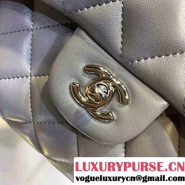 Chanel Grey Calfskin Backpack Cruise 2016 (2A143-120909 )