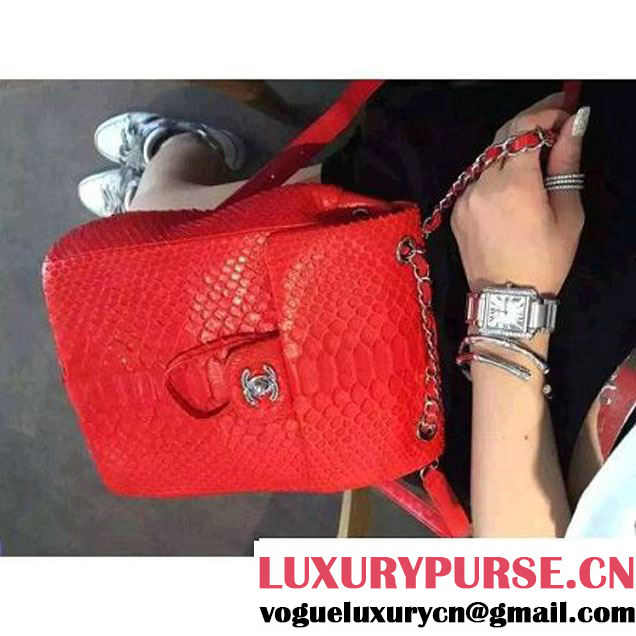Chanel Small Python Leather Backpack Red 2016 (1A145-6062204 )