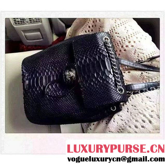 Chanel Small Python Leather Backpack Black 2016 (1A145-6062205 )