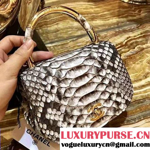 Chanel Python Leather Carry Chic Small Top Handle Flap Bag A93751 Grey 2017 (1B14-7032907 )