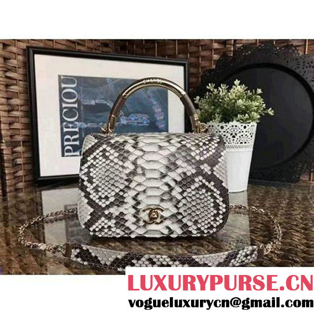 Chanel Python Leather Carry Chic Small Top Handle Flap Bag A93751 2017 (1A111-7041111 )