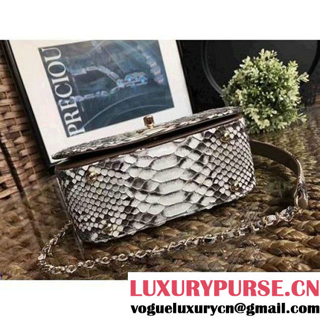 Chanel Python Leather Carry Chic Small Top Handle Flap Bag A93751 2017 (1A111-7041111 )