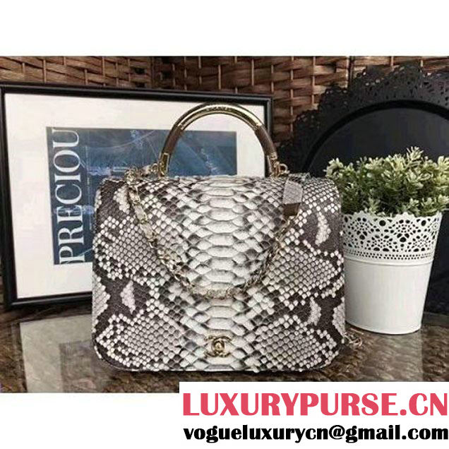 Chanel Python Leather Carry Chic Large Top Handle Flap Bag A9374 2017 (1A111-7041113 )