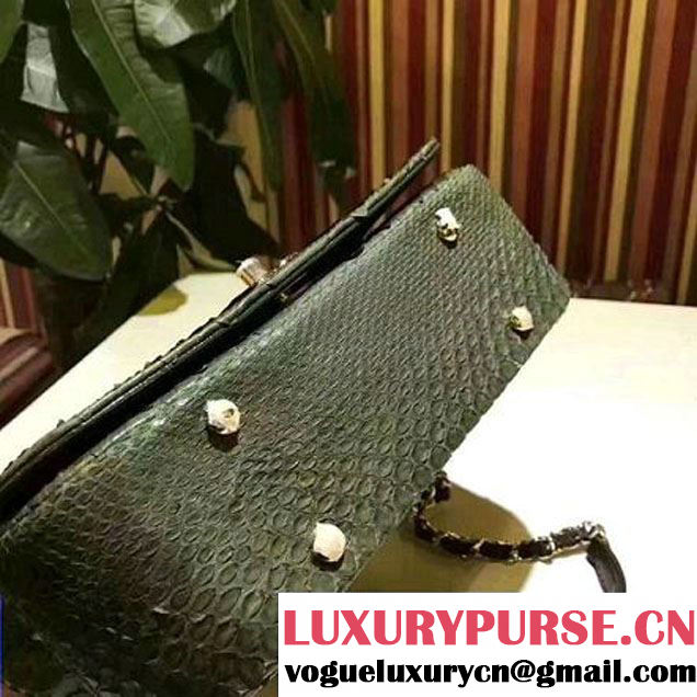 Chanel Python Leather Carry Chic Medium Top Handle Flap Bag A93752 Green 2017 (BT-7041204 )