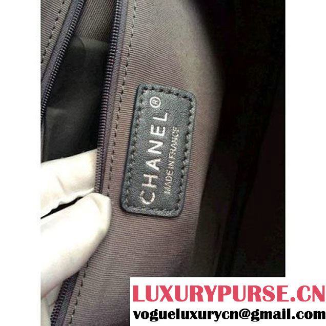 Chanel Camera Case Golden Cruise 2015 (3b026-020714 )