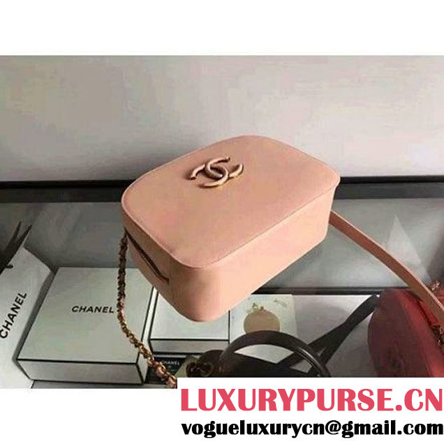 Chanel A93464 Calfskin and Goatskin Vanity Case Bag Pale Pink 2016 (1A145-6070417 )