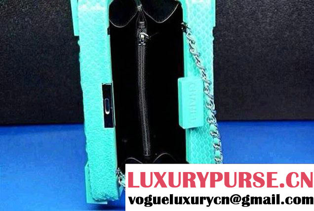 Chanel Green snakeskin lego clutch