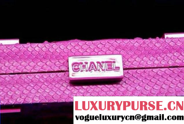 Chanel Pink snakeskin lego clutch