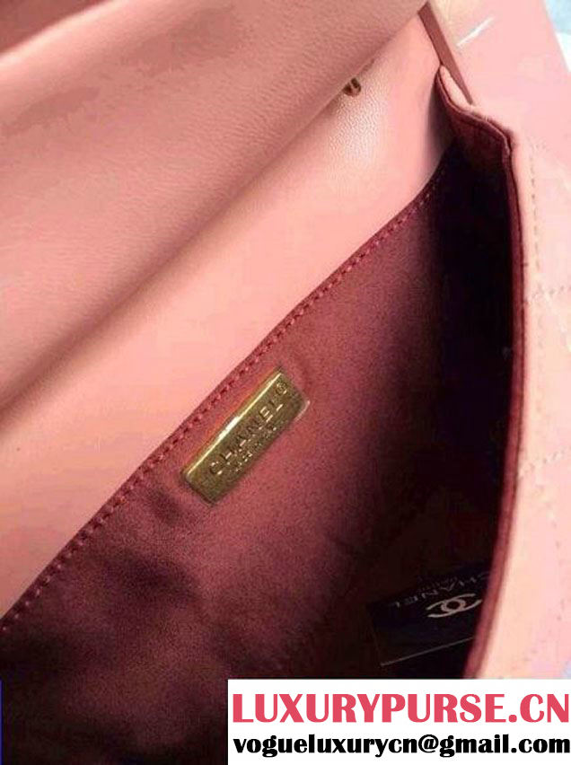 Chanel Plexiglass Mini Flap Bag in Clutch Frame Pink - Spring Summer 2014