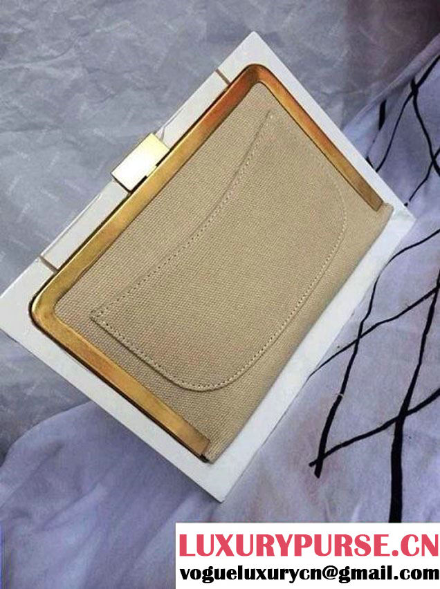 Chanel Plexiglass Mini Flap Bag in Clutch Frame White - Spring Summer 2014