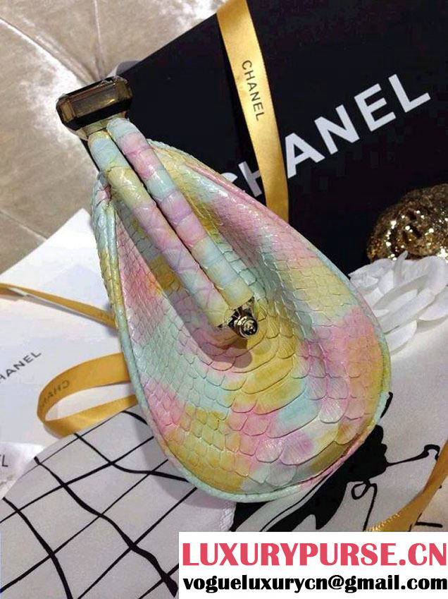 Chanel Python Clutch Bag in Tricolor Spring Summer 2014