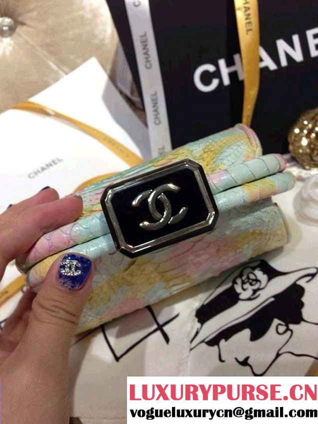 Chanel Python Clutch Bag in Tricolor Spring Summer 2014