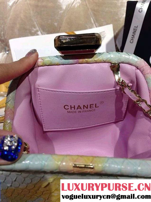 Chanel Python Clutch Bag in Tricolor Spring Summer 2014