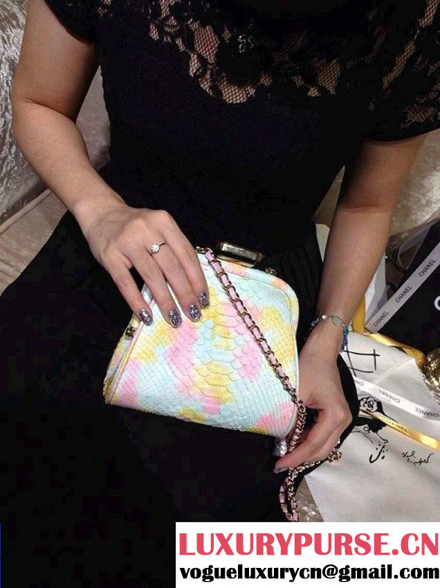 Chanel Python Clutch Bag in Tricolor Spring Summer 2014