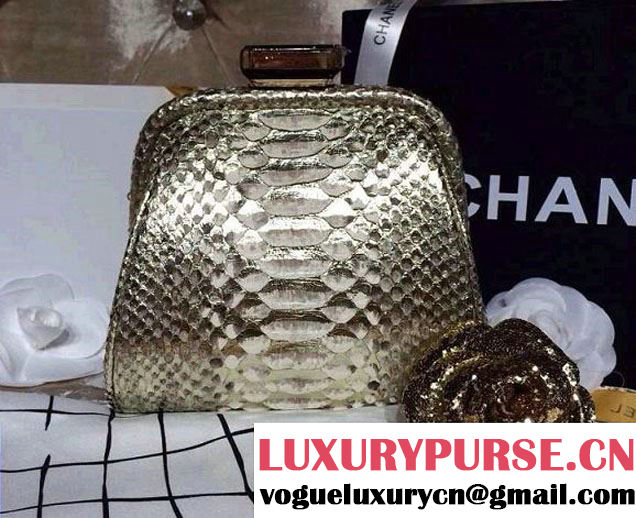 Chanel Python Clutch Bag in Silver Spring Summer 2014