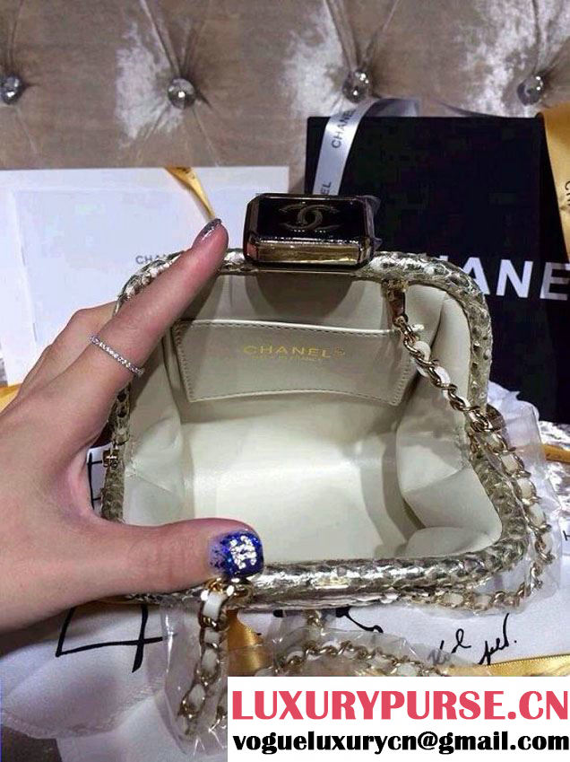 Chanel Python Clutch Bag in Silver Spring Summer 2014