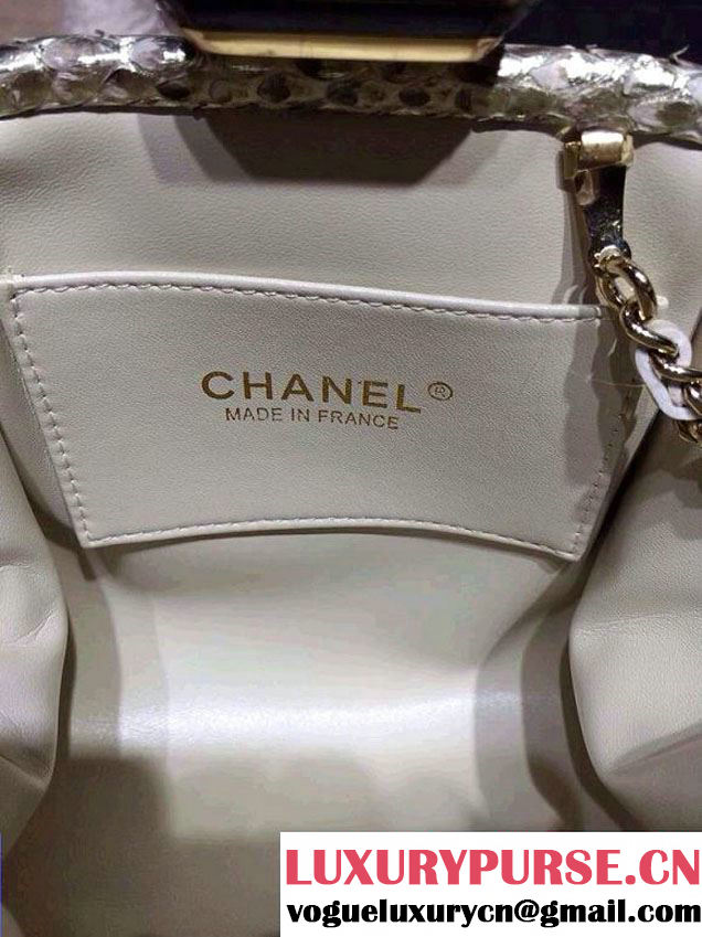 Chanel Python Clutch Bag in Silver Spring Summer 2014